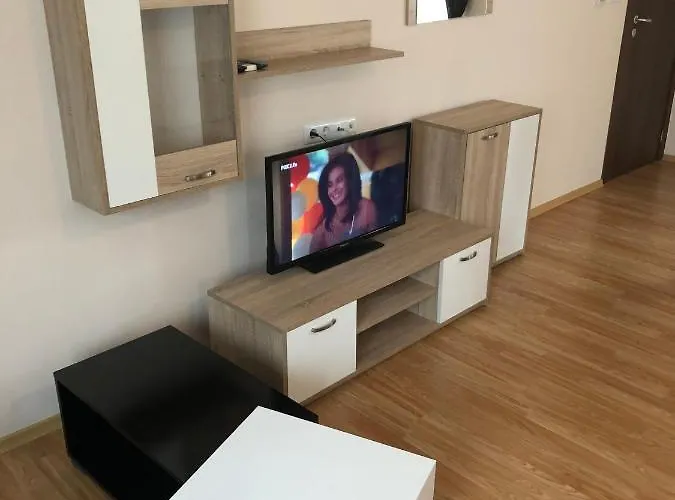 公寓 Palace De Luxe - *